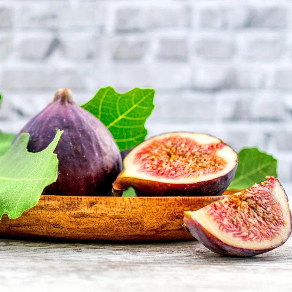 Chicago Hardy Fig Tree - Image 4