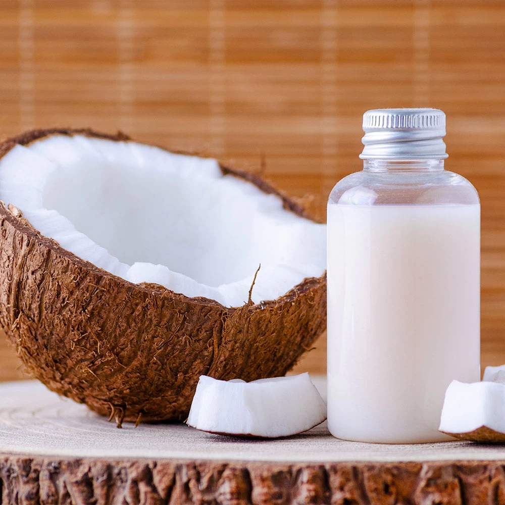 Coconut Palm Tree - Image 6