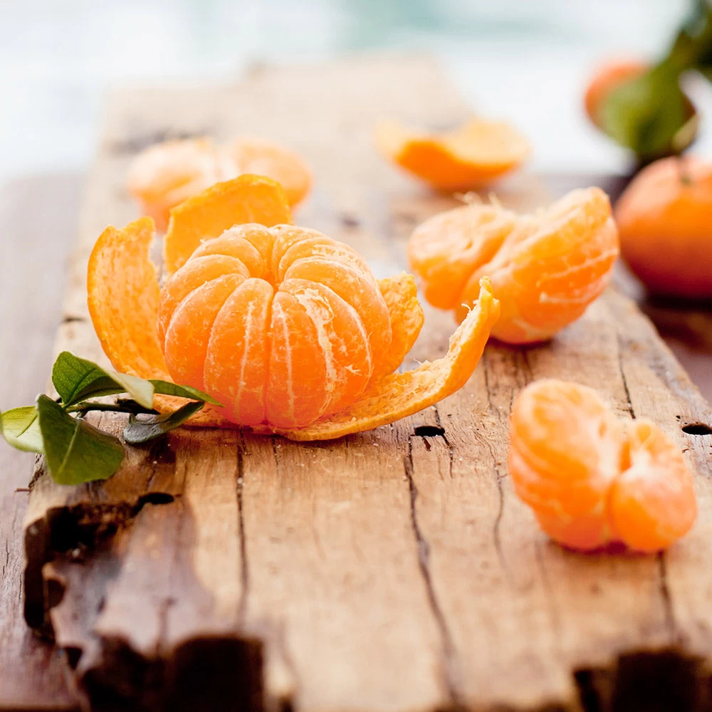 EasyPeel Clementine Tree - Image 2