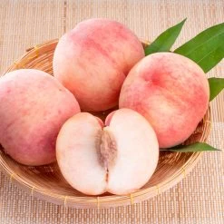 Indian Free White Peach Tree