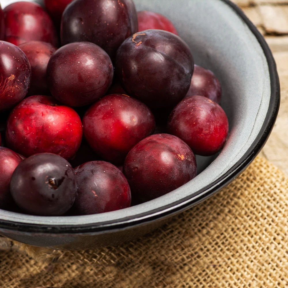 Methley Plum Tree - Image 3