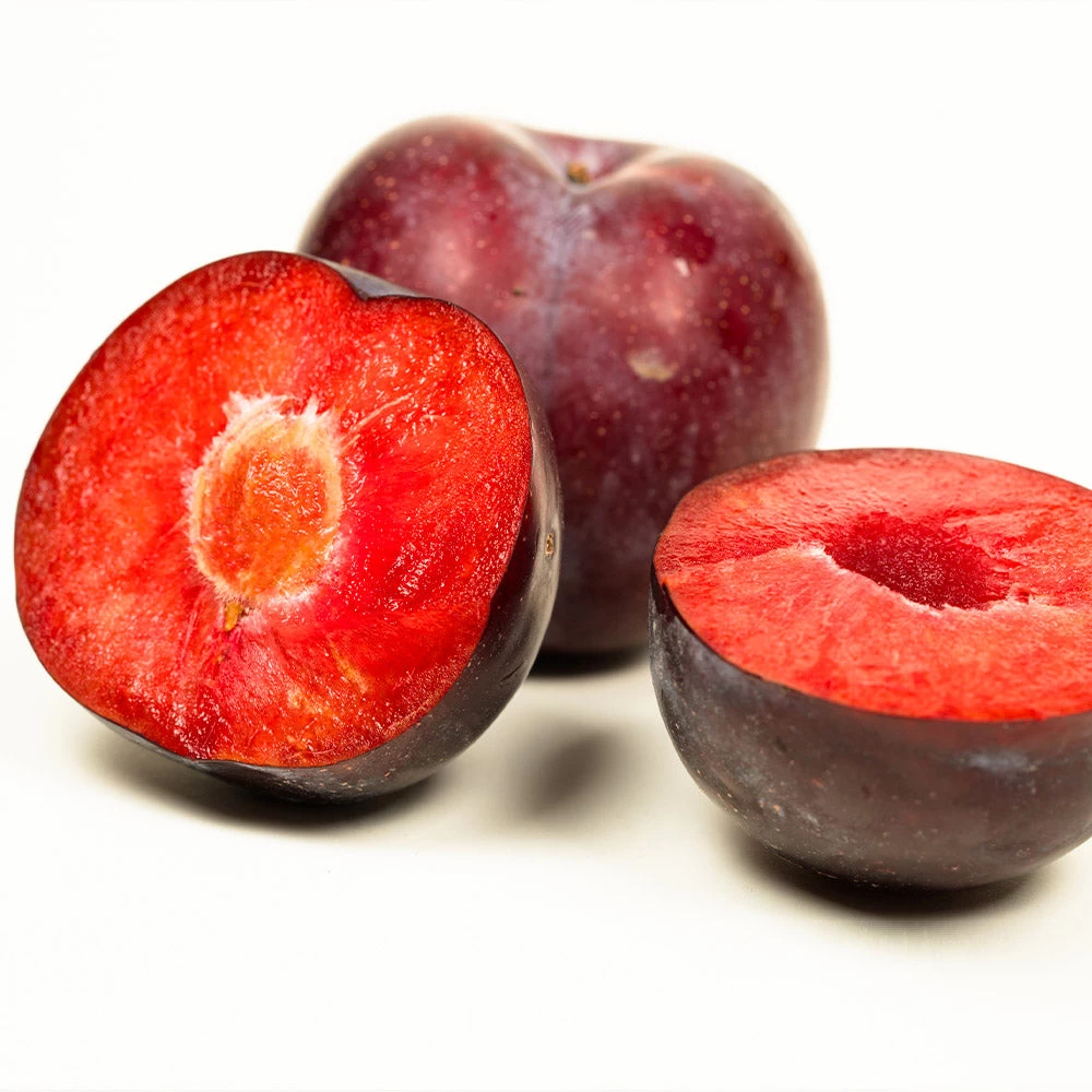 Methley Plum Tree - Image 5