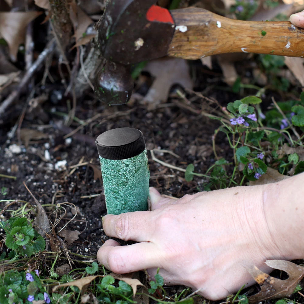 Palm Tree Fertilizer Spikes - Image 4