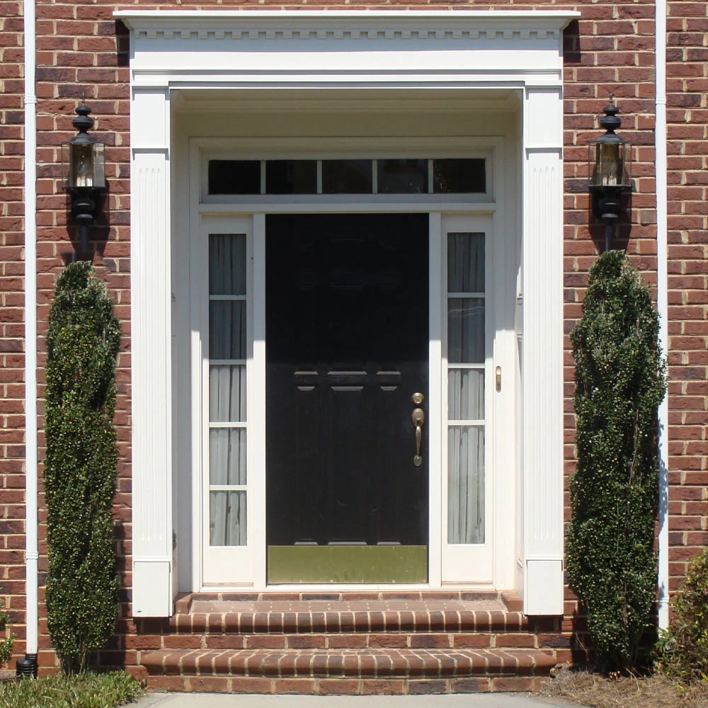 Sky Pencil Holly Tree - Image 5