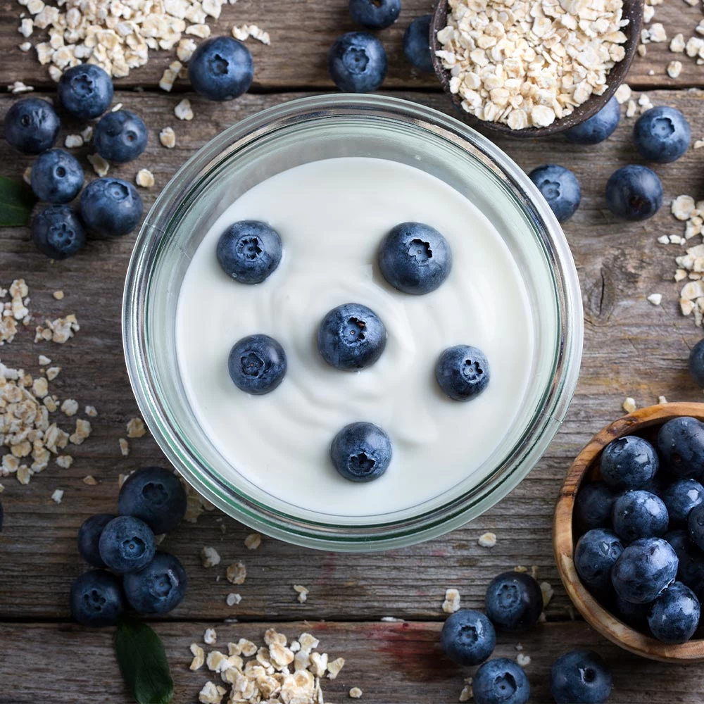 Spartan Blueberry Bush - Image 5